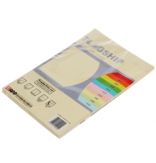 旗艦 A4 80g 進(jìn)口彩色復(fù)印紙（淡黃色，100張/包，25包/箱）