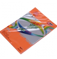 旗艦 A4 80g 進(jìn)口彩色復(fù)印紙（藏紅色，100張/包，25包/箱）